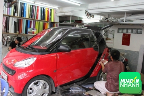 Tem - Logo - Decal ôtô