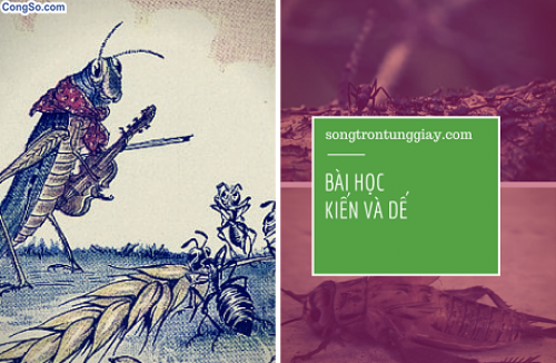 Bài học từ kiến và dế