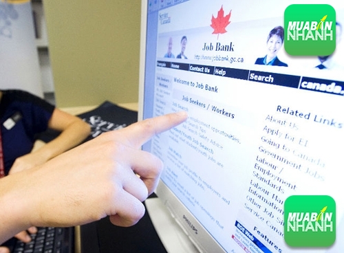 Báo mua bán tìm việc