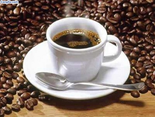 Cà phê và triết lý