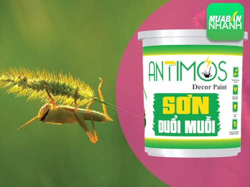 Cách diệt côn trùng trong nhà