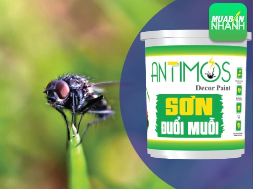 Cách diệt ruồi trong quán ăn