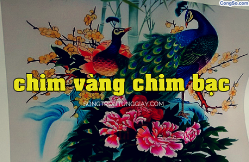 Chim vàng và chim bạc