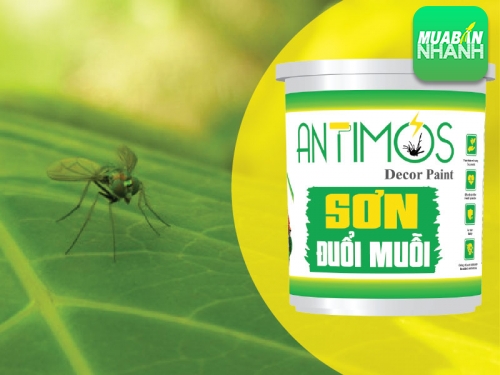 Diệt côn trùng trong nhà vệ sinh