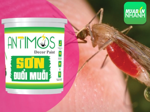 Đuổi muỗi bằng cách tự nhiên