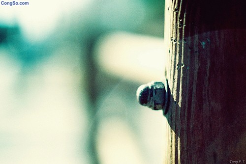 Góc vuông cuộc đời