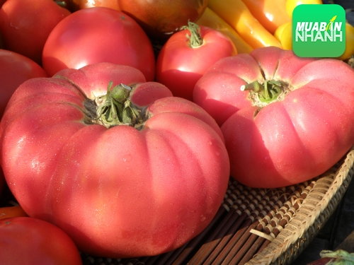 Những tác dụng bổ ích tuyệt vời của cà chua