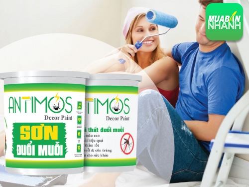 Sơn nhà loại gì