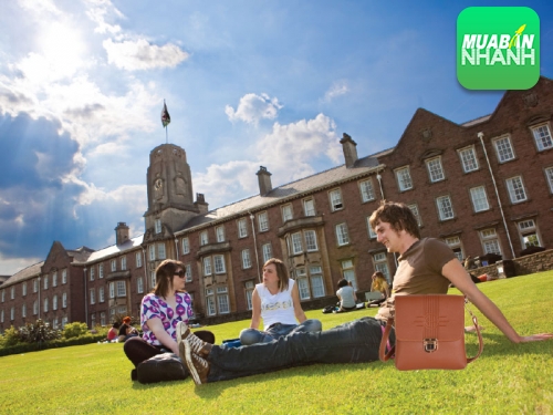 Túi xách đeo chéo nam