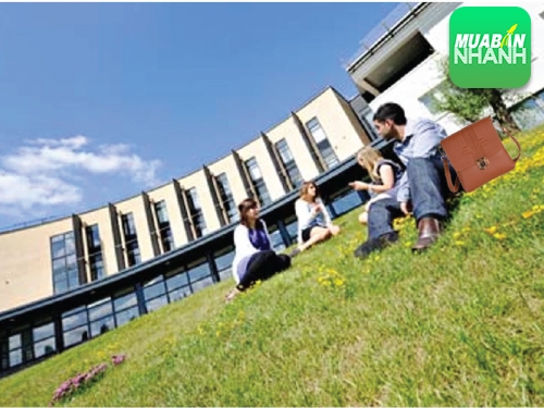 Túi xách quai chéo nam