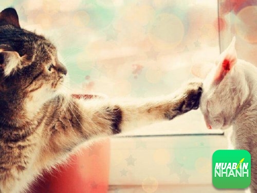 Yêu ... thật không đơn giản